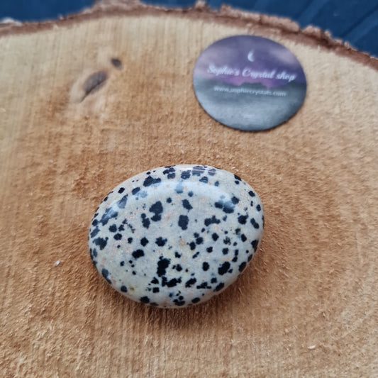 Jasper Dalmatian palm sten